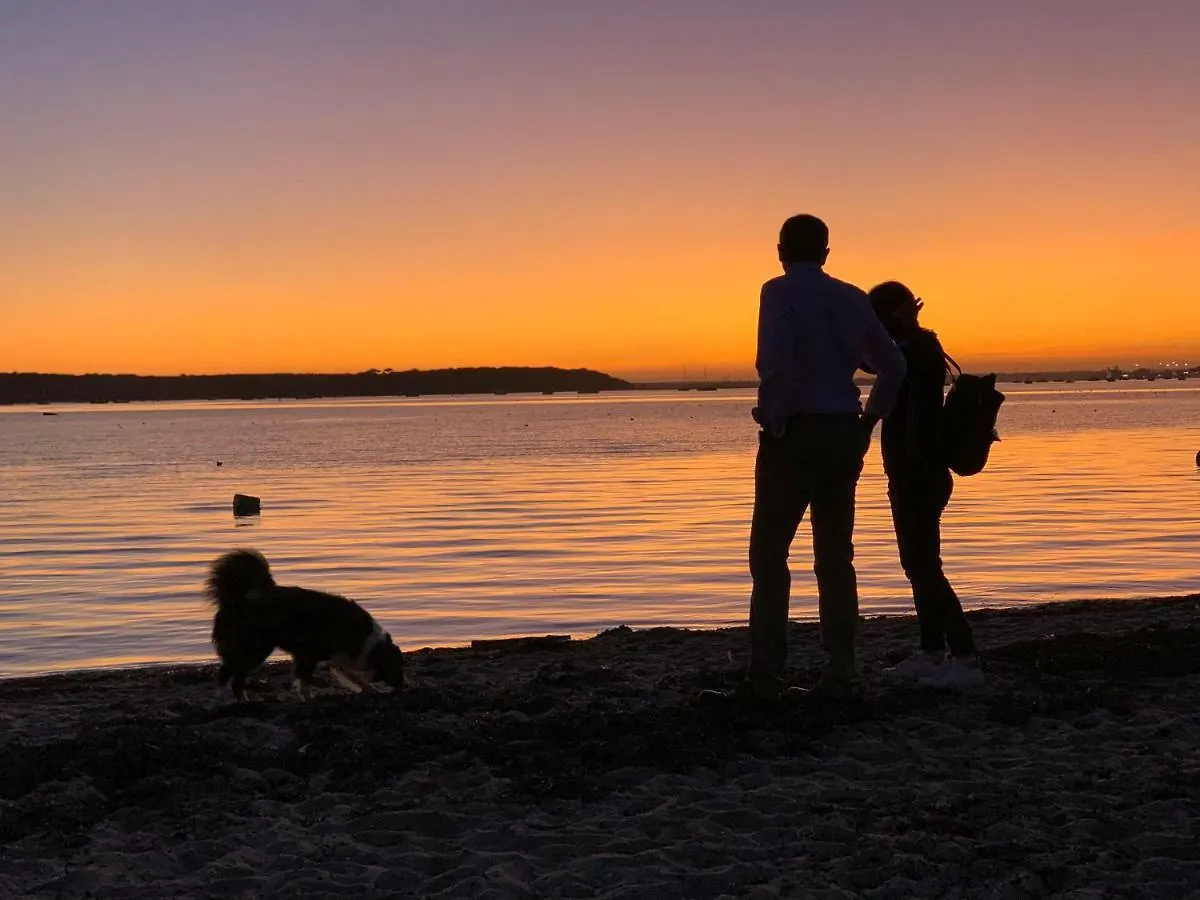 Bungalows Near Sandbanks Beach Villa Poole United Kingdom
